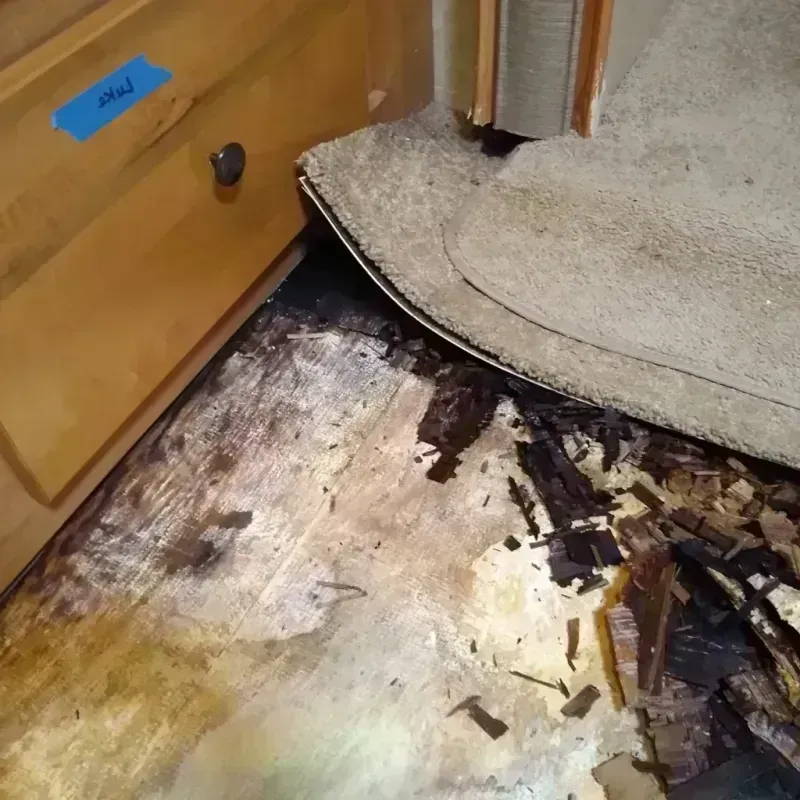 Best Wood Floor Water Damage Service in Pell Lake, WI